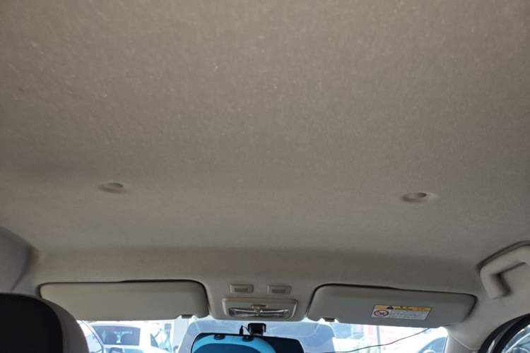 Used ORA Black Cat 2021 301 km Basic Version Headliner