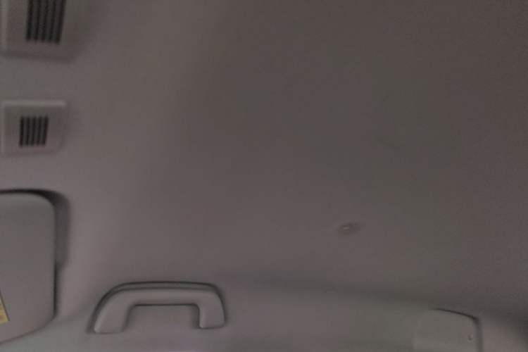 Used ORA Black Cat 2021 301 km Basic Version Headliner