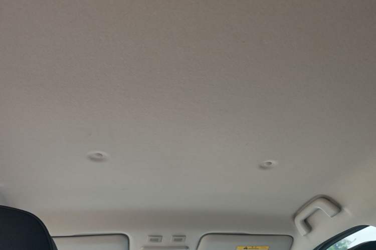 Used ORA Black Cat 2021 301 km Basic Version Headliner