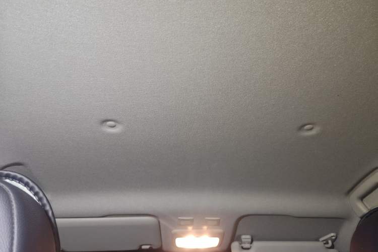 Used ORA Black Cat 2021 301 km Basic Version Headliner