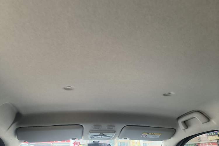 Used ORA Black Cat 2021 301 km Basic Version Headliner