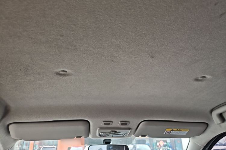 Used ORA Black Cat 2021 301 km Basic Version Headliner