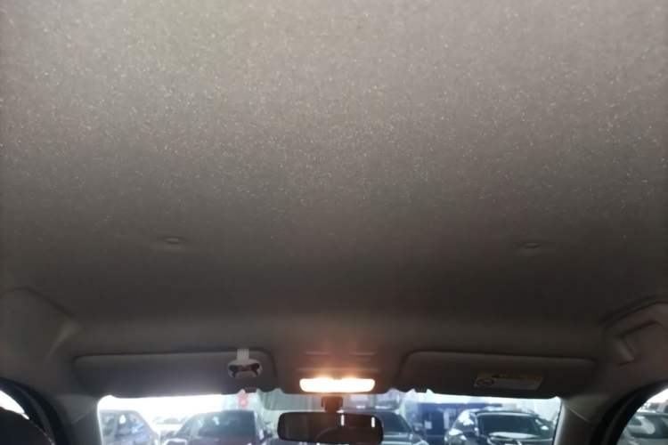 Used ORA Black Cat 2021 301km Cute Pet Edition Headliner
