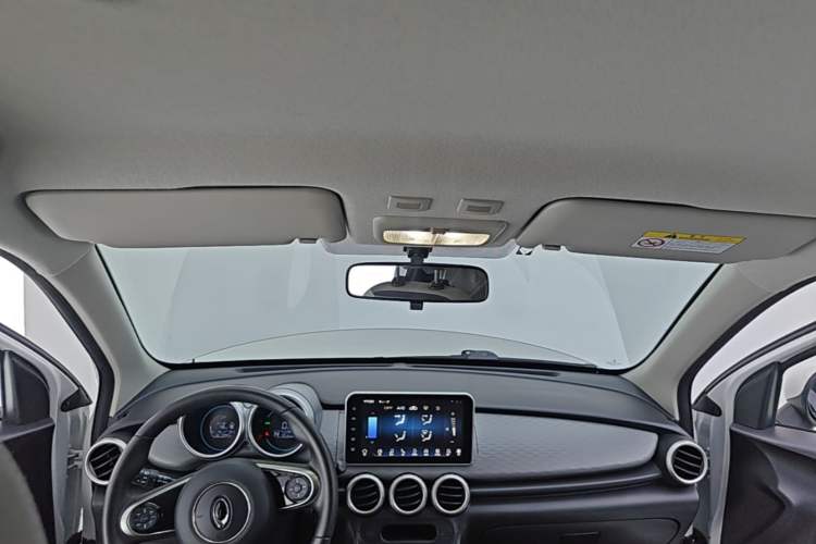 Used ORA Black Cat 2021 301km Cute Pet Edition Headliner