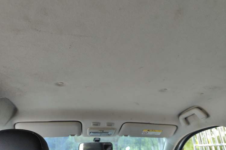 Used ORA Black Cat 2021 351 km Standard Version Headliner