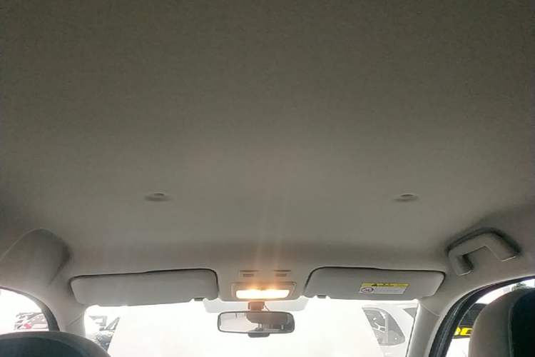 Used ORA Black Cat 2021 301km Cute Pet Edition Headliner