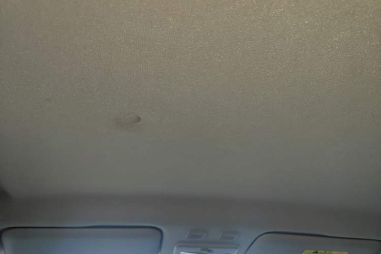 Used ORA Black Cat 2021 301 km Basic Version Headliner