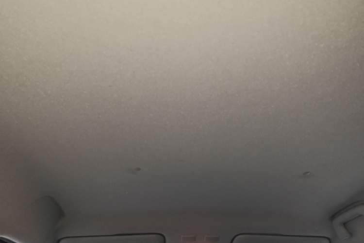 Used ORA Black Cat 2021 301km Cute Pet Edition Headliner