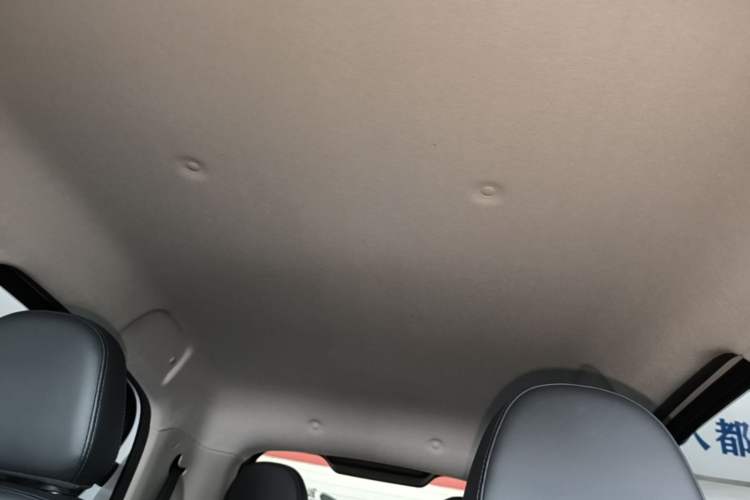 Used ORA Black Cat 2021 351 km Standard Version Headliner