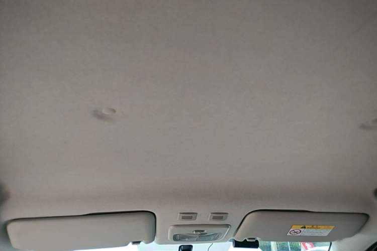 Used ORA Black Cat 2021 301 km Basic Version Headliner
