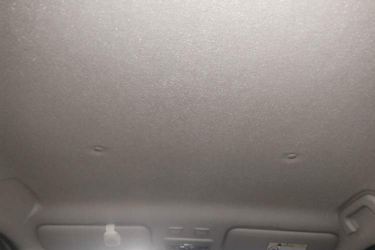 Used ORA Black Cat 2021 301km Cute Pet Edition Headliner