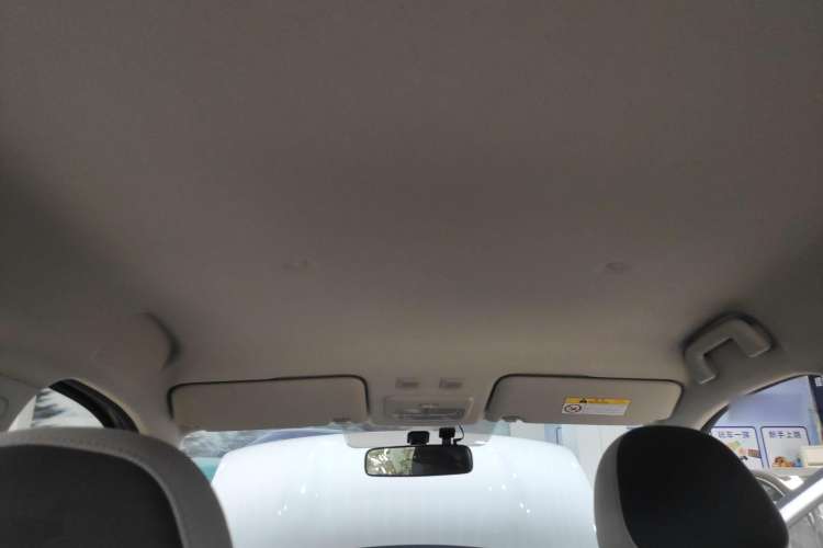 Used ORA Black Cat 2021 301 km Basic Version Headliner