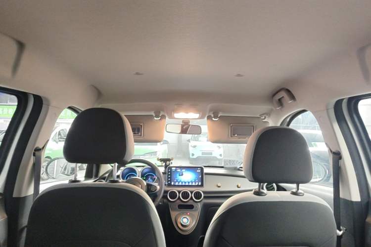 Used ORA Black Cat 2021 301 km Basic Version Headliner
