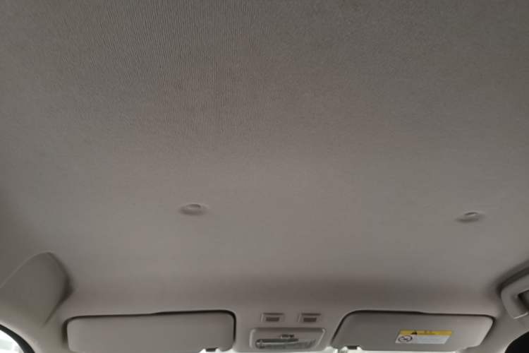 Used ORA Black Cat 2021 351 km Standard Version Headliner