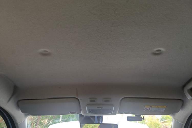 Used ORA Black Cat 2021 351 km Luxury Version Headliner