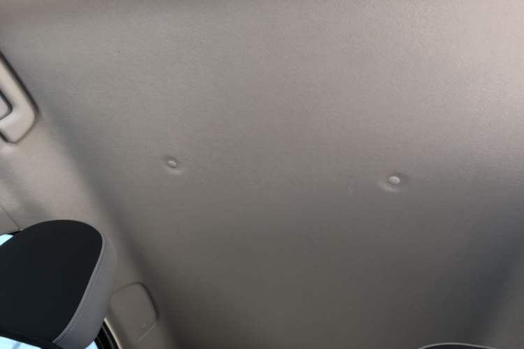 Used ORA Black Cat 2021 301km Cute Pet Edition Headliner