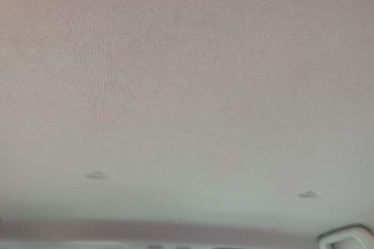 Used ORA Black Cat 2021 351 km Standard Version Headliner