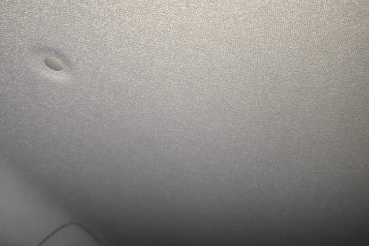 Used ORA Black Cat 2021 351 km Standard Version Headliner