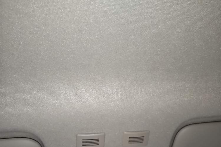 Used ORA Black Cat 2021 301km Cute Pet Edition Headliner
