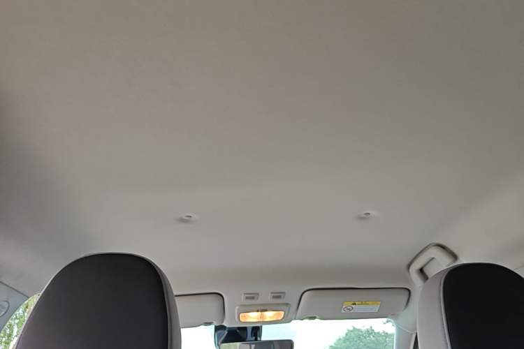 Used ORA Black Cat 2021 351 km Luxury Version Headliner