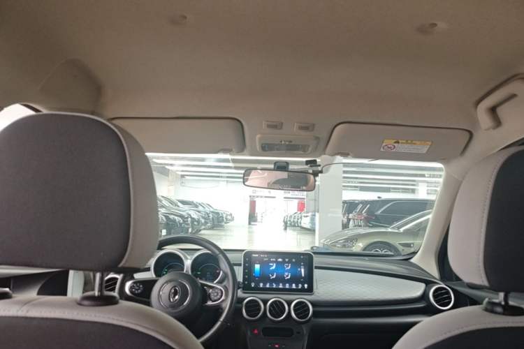 Used ORA Black Cat 2021 301 km Basic Version Headliner