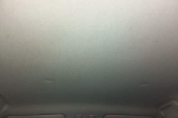 Used ORA Black Cat 2021 301 km Basic Version Headliner