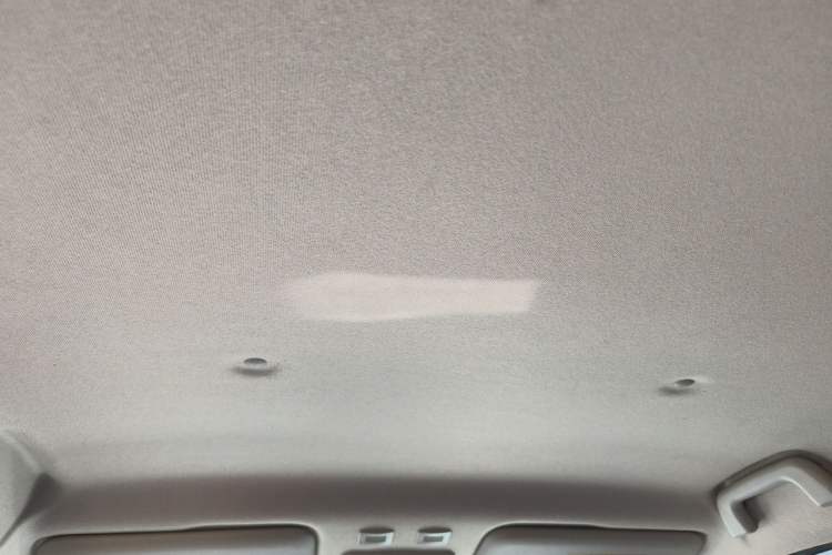 Used ORA Black Cat 2021 301 km Basic Version Headliner