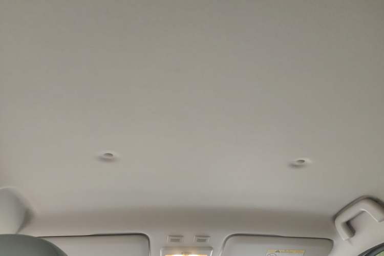Used ORA Black Cat 2021 301 km Basic Version Headliner