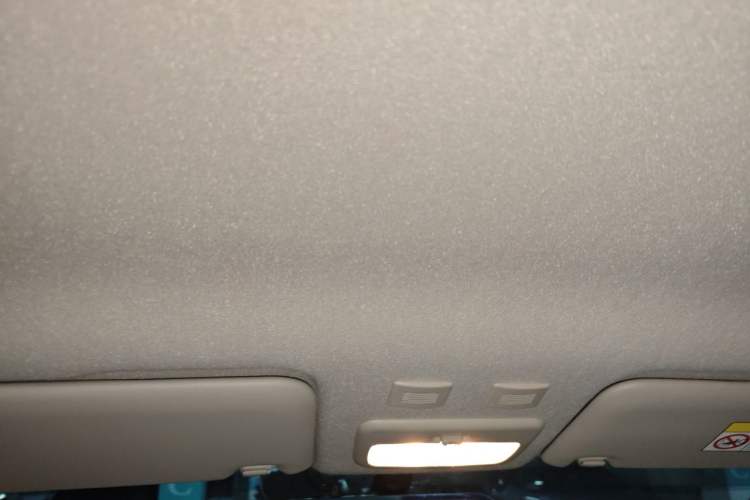 Used ORA Black Cat 2021 301 km Basic Version Headliner