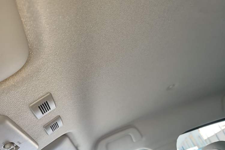Used ORA Black Cat 2021 301km Cute Pet Edition Headliner