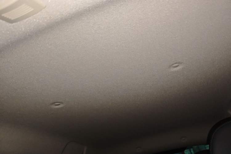 Used ORA Black Cat 2021 351 km Standard Version Headliner
