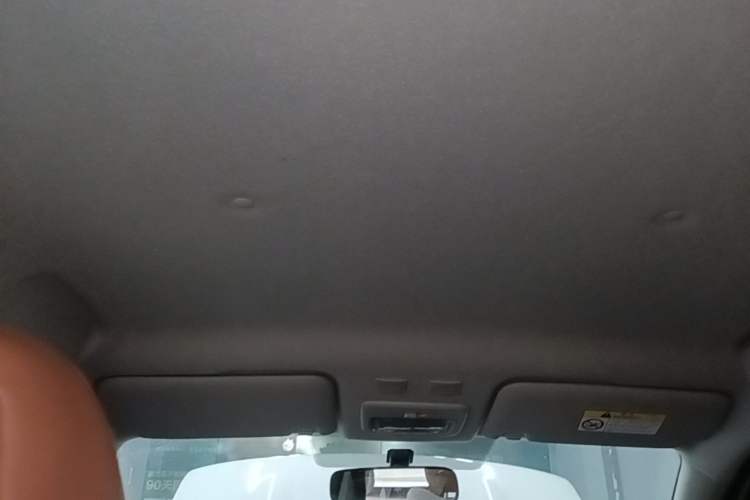 Used ORA Black Cat 2021 301km Cute Pet Edition Headliner