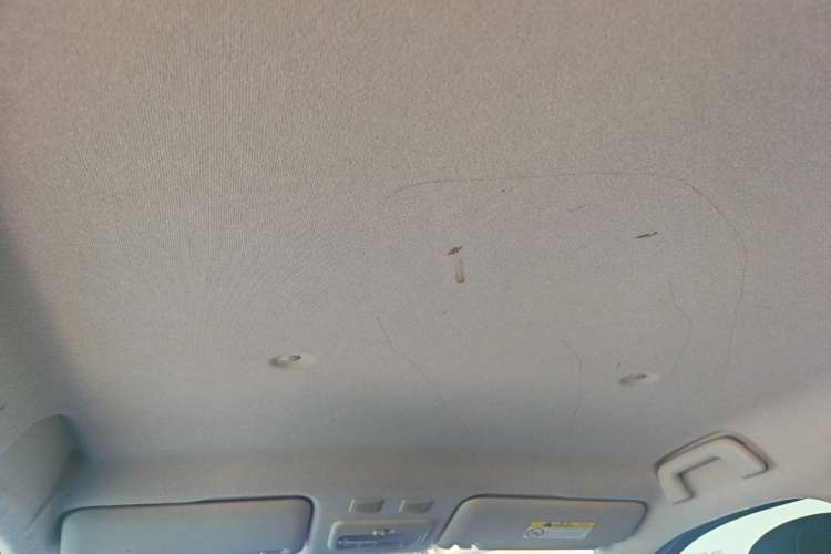 Used ORA Black Cat 2021 351 km Standard Version Headliner