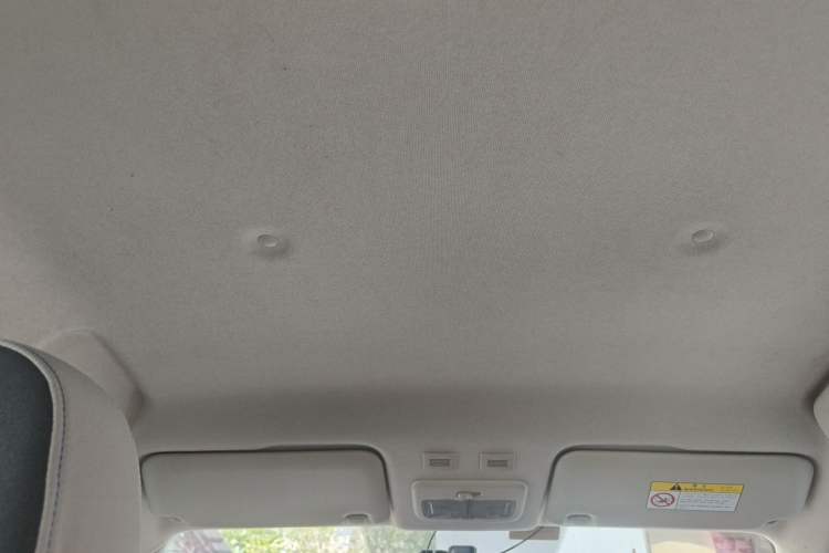 Used ORA Black Cat 2021 301 km Basic Version Headliner