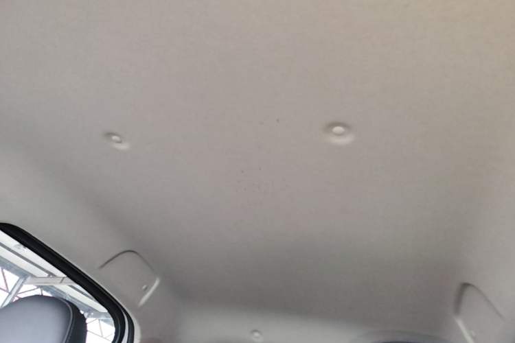 Used ORA Black Cat 2021 351 km Standard Version Headliner
