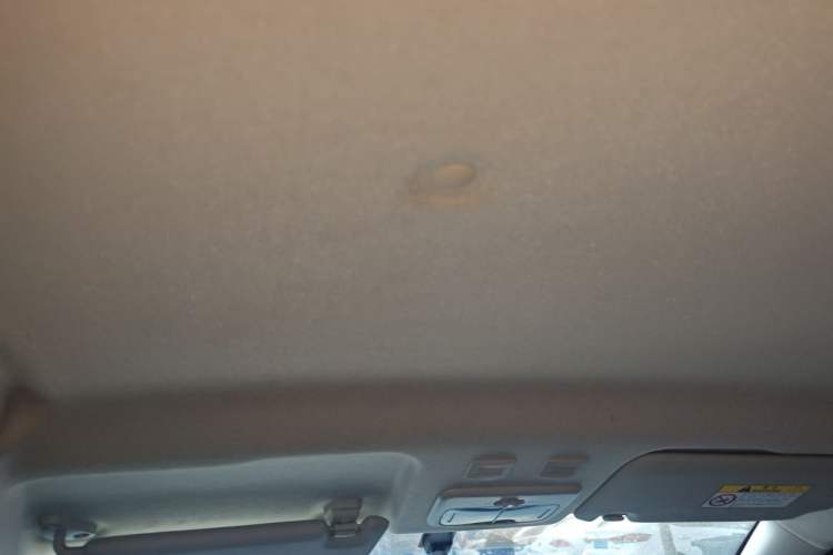 Used ORA Black Cat 2021 301 km Basic Version Headliner