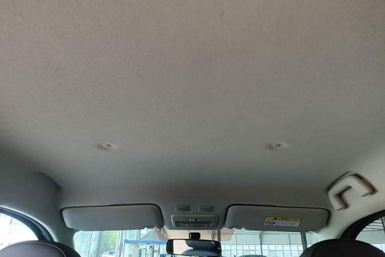 Used ORA Black Cat 2021 351 km Standard Version Headliner