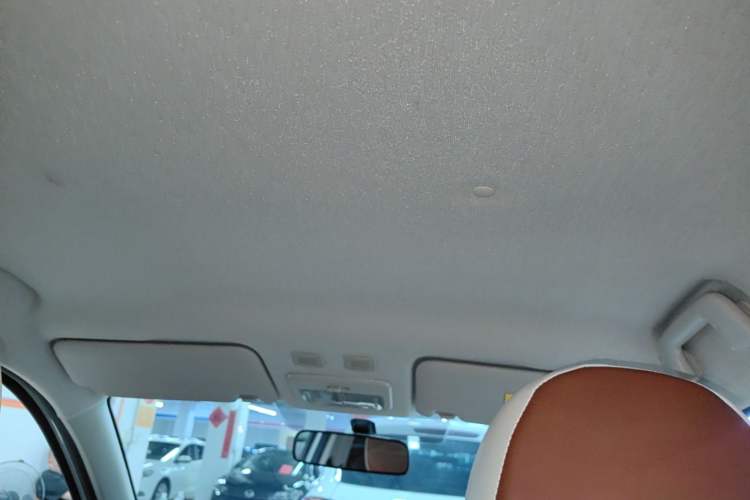 Used ORA Black Cat 2021 301km Cute Pet Edition Headliner