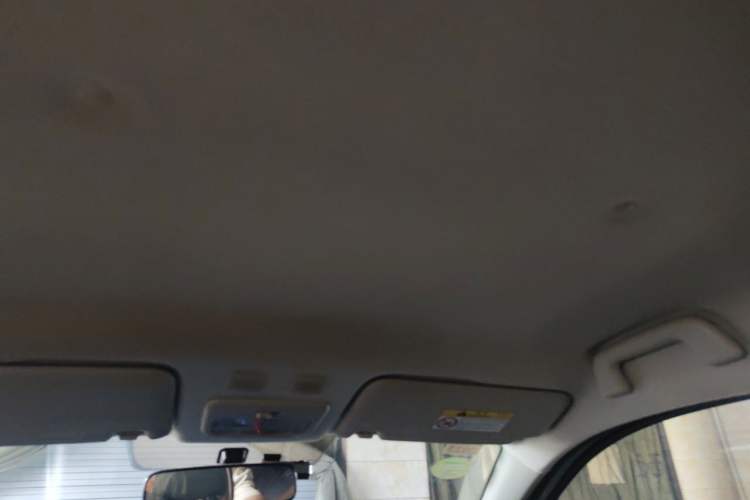 Used ORA Black Cat 2021 301 km Basic Version Headliner
