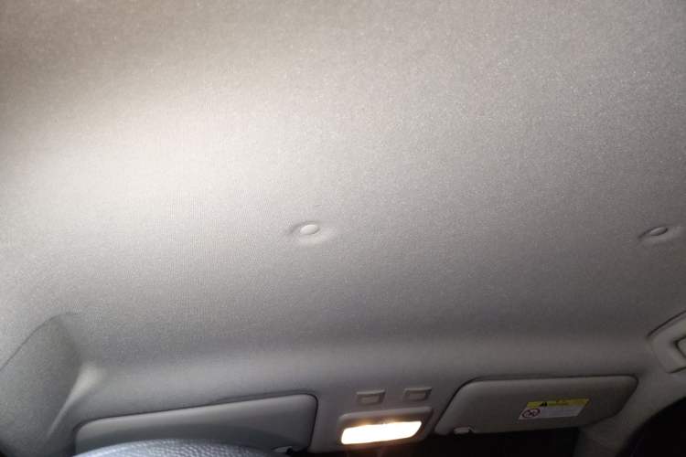 Used ORA Black Cat 2021 351 km Luxury Version Headliner