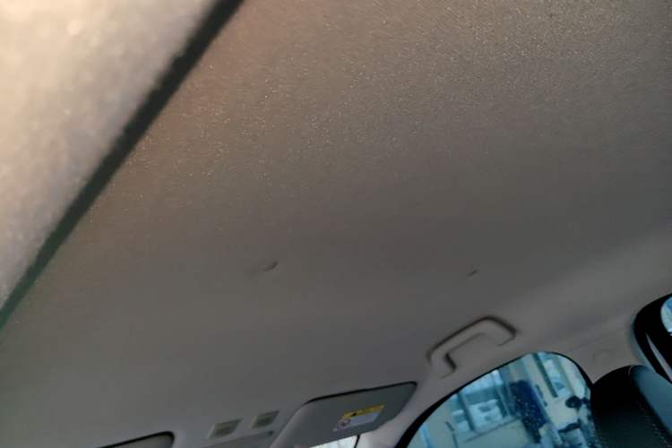 Used ORA Black Cat 2021 351 km Standard Version Headliner