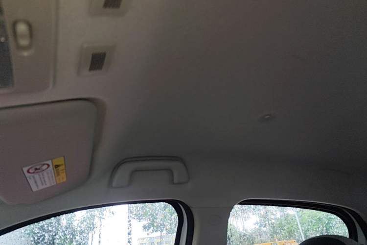 Used ORA Black Cat 2021 301 km Basic Version Headliner