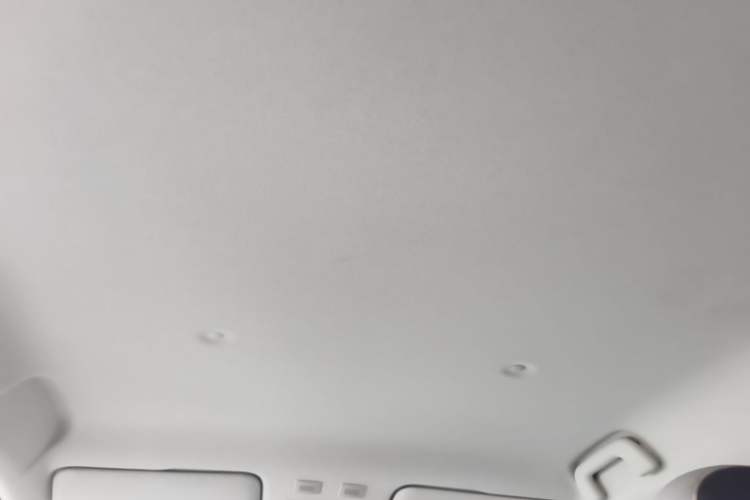 Used ORA Black Cat 2021 301km Cute Pet Edition Headliner