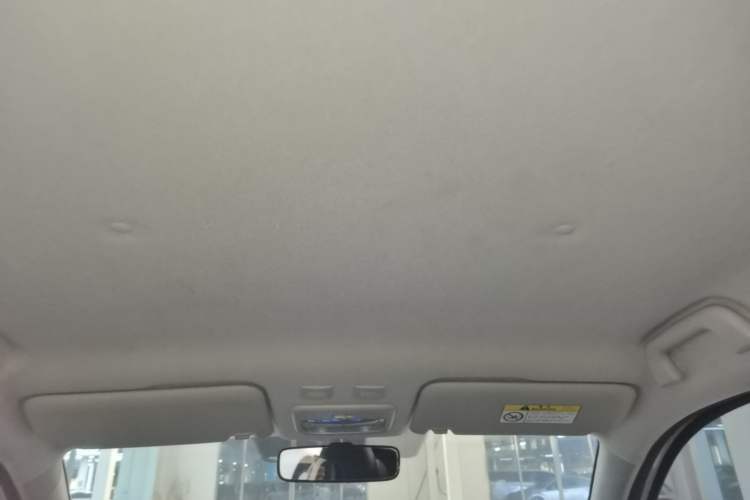 Used ORA Black Cat 2021 301 km Basic Version Headliner