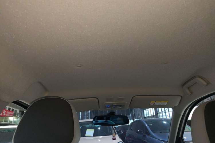 Used ORA Black Cat 2021 301 km Basic Version Headliner