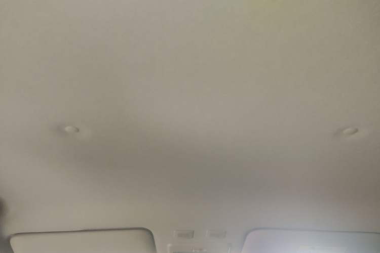 Used ORA Black Cat 2021 301 km Basic Version Headliner