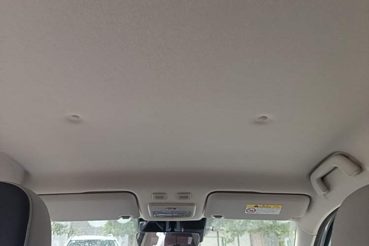 Used ORA Black Cat 2021 405 km Long-Range Version Headliner