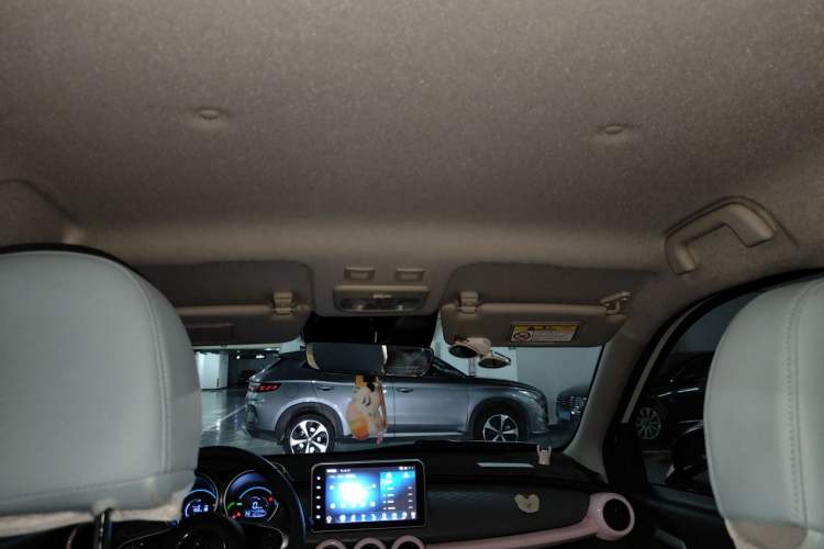 Used ORA Black Cat 2021 405 km Long-Range Version Headliner