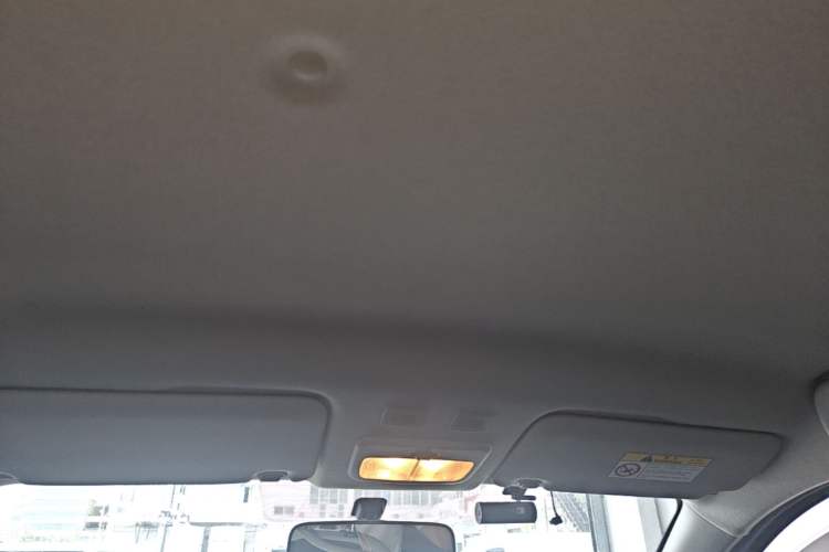 Used ORA Black Cat 2021 301 km Basic Version Headliner