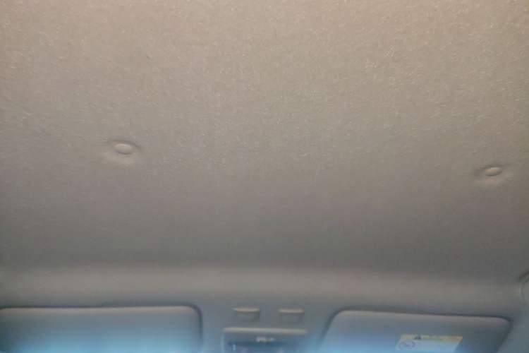 Used ORA Black Cat 2021 301 km Basic Version Headliner